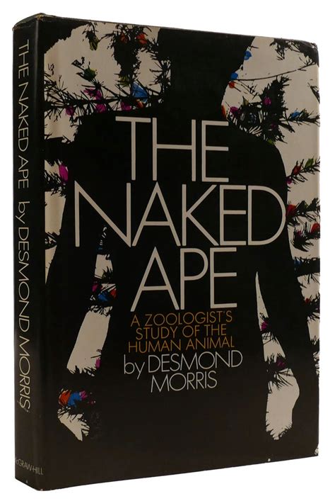 naked chimpanzee|The Naked Ape; a Zoologists Study of the Human Animal